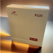 FUJI Ritar Wallbox 5kWh LiFePO4 